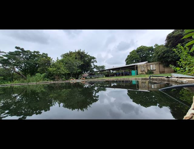 37.90HA FARM FOR SALE IN MODDERFONTEIN AH